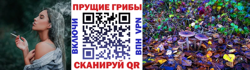 Псилоцибиновые грибы Magic Shrooms  Первомайск 